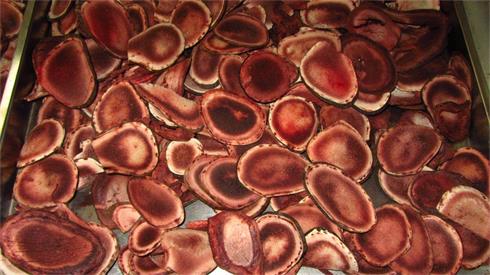 IMG_1795(1).jpg IMG_1795(1).jpg